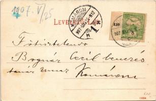 1907 Pöstyén, Pistyán, Piestany; Bankai malom. Lampl Gyula kiadása / Mühle in Banka / mill (EK)