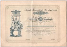 Kispest 1895. Kispesti Takarékpénztár Részvénytársaság részvénye 200K-ról szárazpecséttel, szelvényekkel T:XF