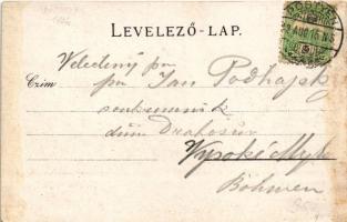 1902 Pöstyén, Pistyan, Piestany; Király sor, Király villa. A. Bernas kiadása / Königszeile / street ...