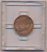 Csúcs Viktória (1934-) 1979. &quot;Magyar Éremgyűjtők Egyesülete 1973&quot; kétoldalas bronz tagsági érem, plexi keretben (42,5mm) T:AU Adamo BP5