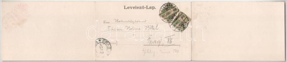 1901 Szatmárnémeti, Satu Mare; Lövy Miksa kiadása, 3-részes szecessziós kinyitható panorámalap / 3-t...