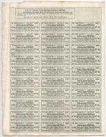 Budapest 1894. "Baja-Zombor-Újvidéki Helyi Érdekű Vasút Részvénytársaság" törzsrészvénye 1...