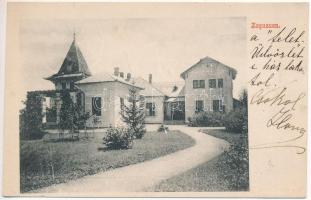 1909 Zaguzsén, Zagujeni (Temes); Jakabffy Imre kastélya. 643. Szénásy Béla kiadása / villa, castle