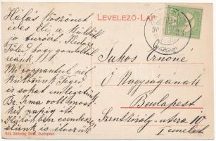 1909 Zaguzsén, Zagujeni (Temes); Jakabffy Imre kastélya. 643. Szénásy Béla kiadása / villa, castle