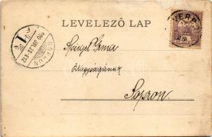 1900 Verbó, Vrbové; Fő tér, zsinagóga. Emánuel kiadása / main square, synagogue (r)