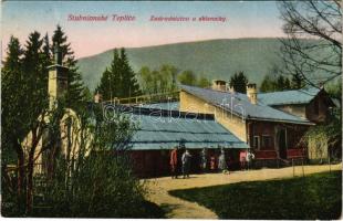 1926 Stubnyafürdő, Túróchévíz, Stubnianske Teplice, Turcianske Teplice; Zadradnictvo a sklenniky / kertészet / horticulture