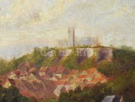 Olvashatatlan (Reindl?) jelzéssel: Libapásztorlány. Olaj, vászon, javított, dekoratív fakeretben, 49...