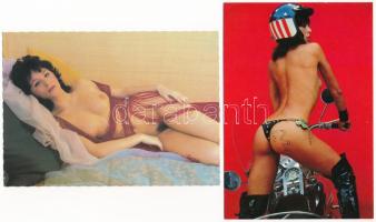 18 db modern erotikus meztelen hölgy képeslap / 18 modern erotic nude lady postcards