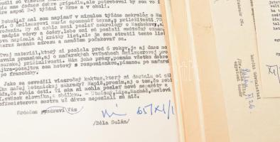 Sulán Béla debreceni egyetemi rektor, professzor levelei, iratai