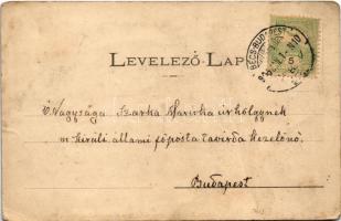 1904 Mocsonok, Sládeckovce, Mocenok (Tornóc); Püspöki kastély park felőli homlokzata és főhomlokzata...