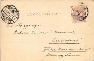 1899 (Vorläufer) Miskolc, Városház tér, piac. Ferenczi B. kiadása (EK)