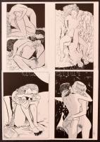 80 db MODERN használatlan motívum képeslap: Charles Berg erotikus meztelen Pin-up lányok / 80 modern unused motive postcards: Charles Berg erotic nude Pin-up girls