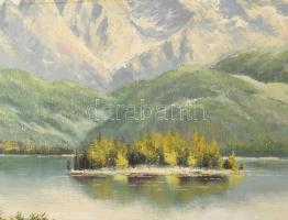 Olvashatatlan jelzéssel: Hegyvidék. Olaj, vászon. Dekoratív fakeretben. 60x80 cm