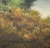 Olvashatatlan jelzéssel: Hegyvidék. Olaj, vászon. Dekoratív fakeretben. 60x80 cm