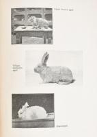 A Gazda Aranykönyvei VI. Szerk: Banke Antal. Báldy Bálint - Anghi Csaba Geyza - Valló Árpád - Ketter...