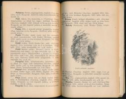 Kovács Dénes (szerk.): A Kerepesi úti temető. Útmutató és tájékoztató húsz ábrával és az egész temet...