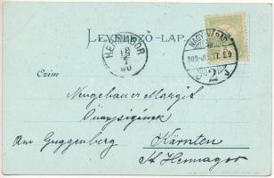 1900 Nagyvárad, Oradea; Városi színház. Lang József kiadása / theatre. Art Nouveau, floral, litho (E...