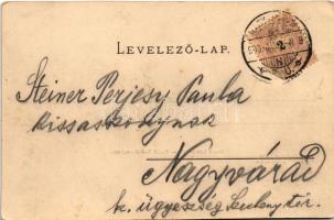 1900 Nagyvárad, Oradea; Szent László tér, Held üzlete. Sonnenfeld A. kiadása / square, shops (EK)