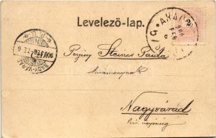 1900 Lippa, Lipova; Solymosi vár, Máriaradna a templommal, Lippa és a Maros folyam. Josef Zach kiadá...