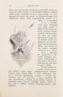 Bársony István: Erdőn, mezőn. Természeti és vadászati képek. Kiváló magyar művészek eredeti rajzaiva...