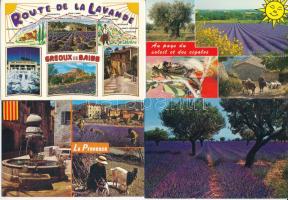 Levendulás kertek - 28 modern francia képeslap / Lavender gardens - 28 modern French postcards