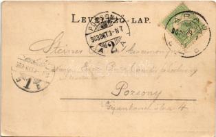 1903 Arad, Andrássy tér, üzletek / square, shops (EK)