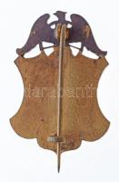 ~1900. "Aquila Kerékpáros Klub 1895" zománcozott bronz jelvény (37x26mm) T:2 / Hungary ~19...