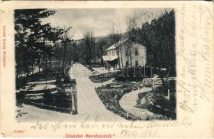 1899 (Vorläufer) Menyháza, Monyásza, Moneasa; Corso / korzó. Divald Károly kiadása / street view (szakadás / tear)