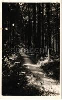 Borszék, Borsec; Árnyas sétány / promenade (felszíni sérülés / surface damage)