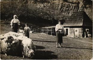 1918 Tarhavaspataka, Tarhausi; székelyek juhokkal / Secui farm. photo