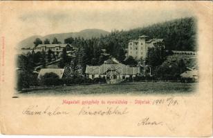 1901 Stájerlak, Steierlak, Stájerlakanina, Steierdorf, Anina; Magaslati gyógyhely és nyaralótelep. Hollschütz kiadása / spa, holiday resort (EB)