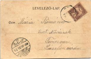 1901 Stájerlak, Steierlak, Stájerlakanina, Steierdorf, Anina; Magaslati gyógyhely és nyaralótelep. H...
