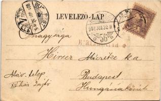 1901 Turnu Severin, Szörényvár; Trajansthurm / Traian tower. Floral (EB)