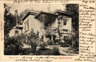 1906 Bártfafürdő, Bardejovské Kúpele, Bardiov, Bardejov; Mignon villa. Divald Adolf 203. / villa (EK)