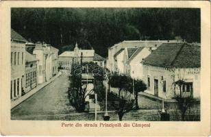 Topánfalva, Topersdorf, Campeni; Parte din strada Principala / Fő utca részlete / main street (EB)