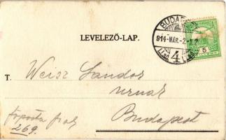 1914 Hölgy könyvvel - kézzel rajzolt képeslap / Lady with book - hand-drawn (EK)