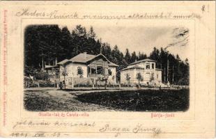 1905 Bártfa, Bártfafürdő, Bardejovské Kúpele, Bardiov, Bardejov; Gizella lak és Carola villa. Eschwig Ede F. kiadása, Hajts Kornél felvétele / villa, spa