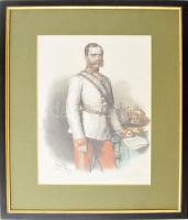 cca 1900, Ferenc József arcképe. Színezett litográfia, papír, jelzett a litográfián, sérült, plexiüvegezett keretben, 37,5x26,5 cm