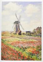 Monet és barátai. (Kiállítási katalógus). Szerk.: Geskó Judit. Bp., 2003, Szépművészeti Múzeum - Vin...