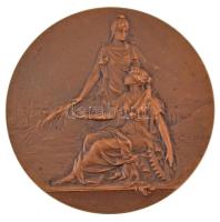 Franciaország ~1900-1910. &quot;Ipar és mezőgazdaság&quot; bronz emlékérem. Szign.: Lucien Coudray (50mm) T:AU kis patina France ~1900-1910. &quot;Industry and Agriculture&quot; bronze commemorative medallion. Sign.: Lucien Coudray (50mm) C:AU small patina