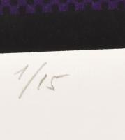 Zala Tibor (1920-2004): "A fizikus" (Einstein), 1986. Szitanyomat, papír. Jelzett. Számozo...