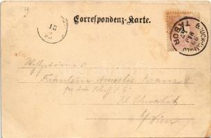 1899 (Vorläufer) Ein Schwarm zur Verlängerung des rechten Flügels / Austro-Hungarian K.u.K. military...