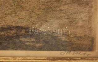 Olvashatatlan jelzéssel: Margitsziget, gyógyfürdő. Rézkarc, papír. Dekoratív, üvegezett fakeretben. ...