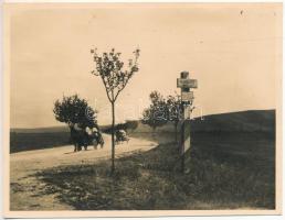 Kolozsvár, Cluj; Dezmér felé vezető út a város határában, lovaskocsik / road toward Dezmir, horse carts. photo (11,6 x 8,9 cm)