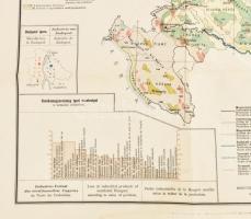 1913 Magyarország gazdaságföldrajzi térképe, szerk.: dr Fodor Ferenc, kiadja: Magyar Földrajzi Intéz...