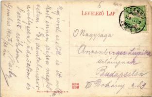 1910 Gombos, Bogojeva; Gőzkomp Gombos és Erdőd között, gőzmozdony / steam ferry with locomotive betw...