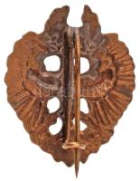 Ausztria DN Tirol tartomány címerét ábrázoló zománcozott bronz jelvény, függőleges tűvel (23x20mm) T...