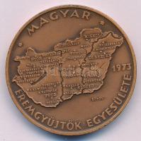 Csúcs Viktória (1934-) 1973. "MÉE Budapest - Magyarország" bronz tagsági emlékérem (42,5mm) T:AU Adamo BP5