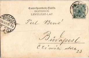 1904 Sassnitz on Rügen, Bieramare / spa. photo (EK)