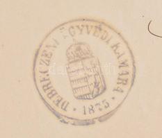 1880-1898 Bary József (1858-1915) kúriai bíró, a tiszaeszlári vérvádper vizsgálóbírójának személyi a...